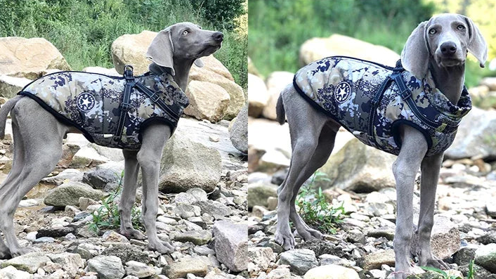 Large Pet Dog Jacket with Harness Winter Warm Dog Clothes for Labrador Waterproof Big Dog Coat Chihuahua French Bulldog Outfits