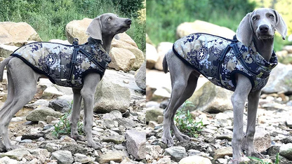 Large Pet Dog Jacket with Harness Winter Warm Dog Clothes for Labrador Waterproof Big Dog Coat Chihuahua French Bulldog Outfits